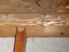 Termite damage noticed during a home inspection in Ridgeland, Mississippi