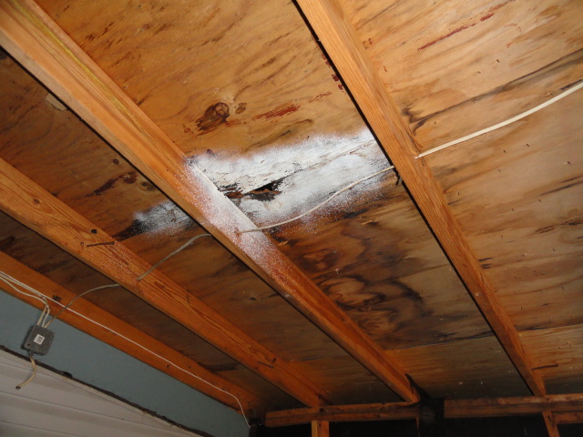 Roof sheathing with water damage and mold like substance.